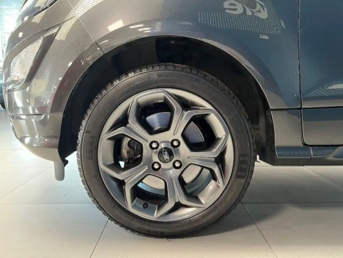 Ford EcoSport usata a Cuneo (13)