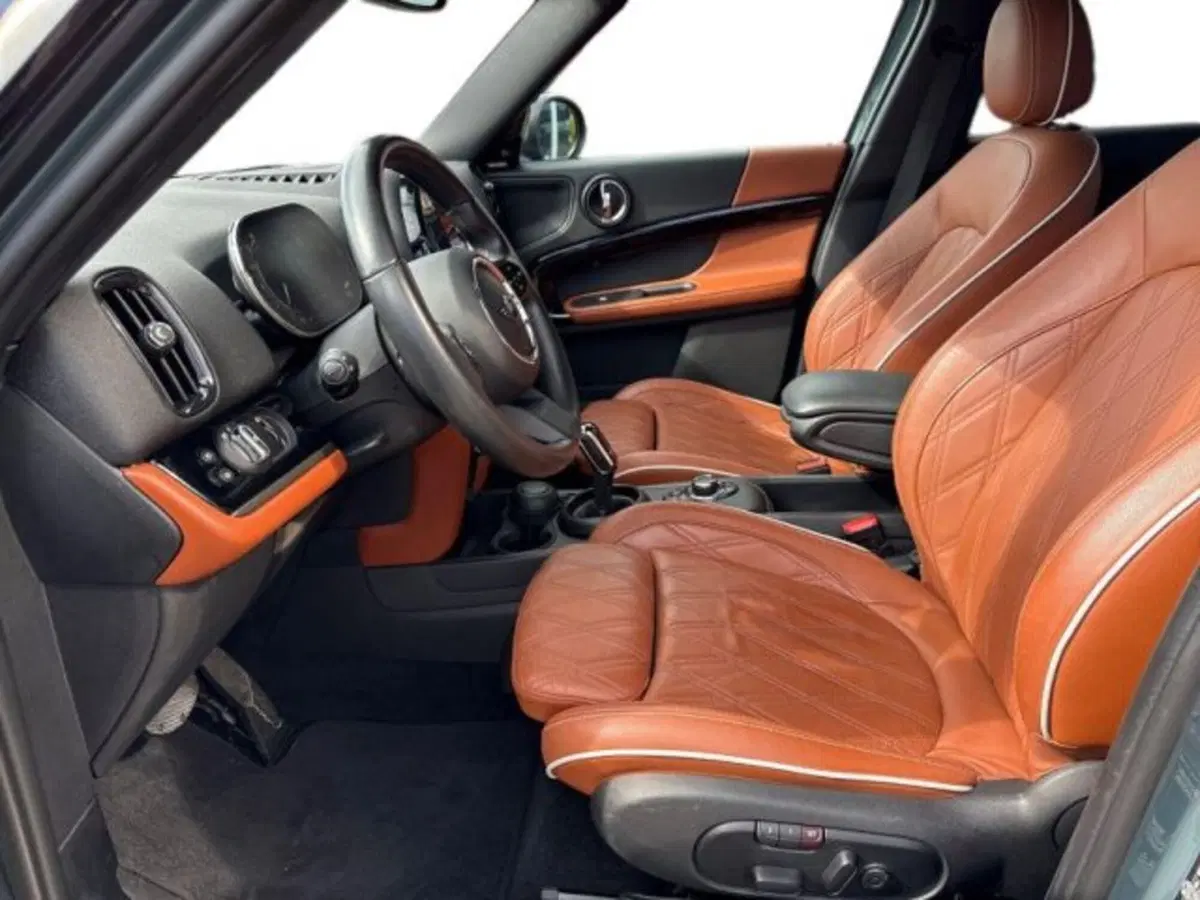 MINI Mini Countryman usata a Verona (10)