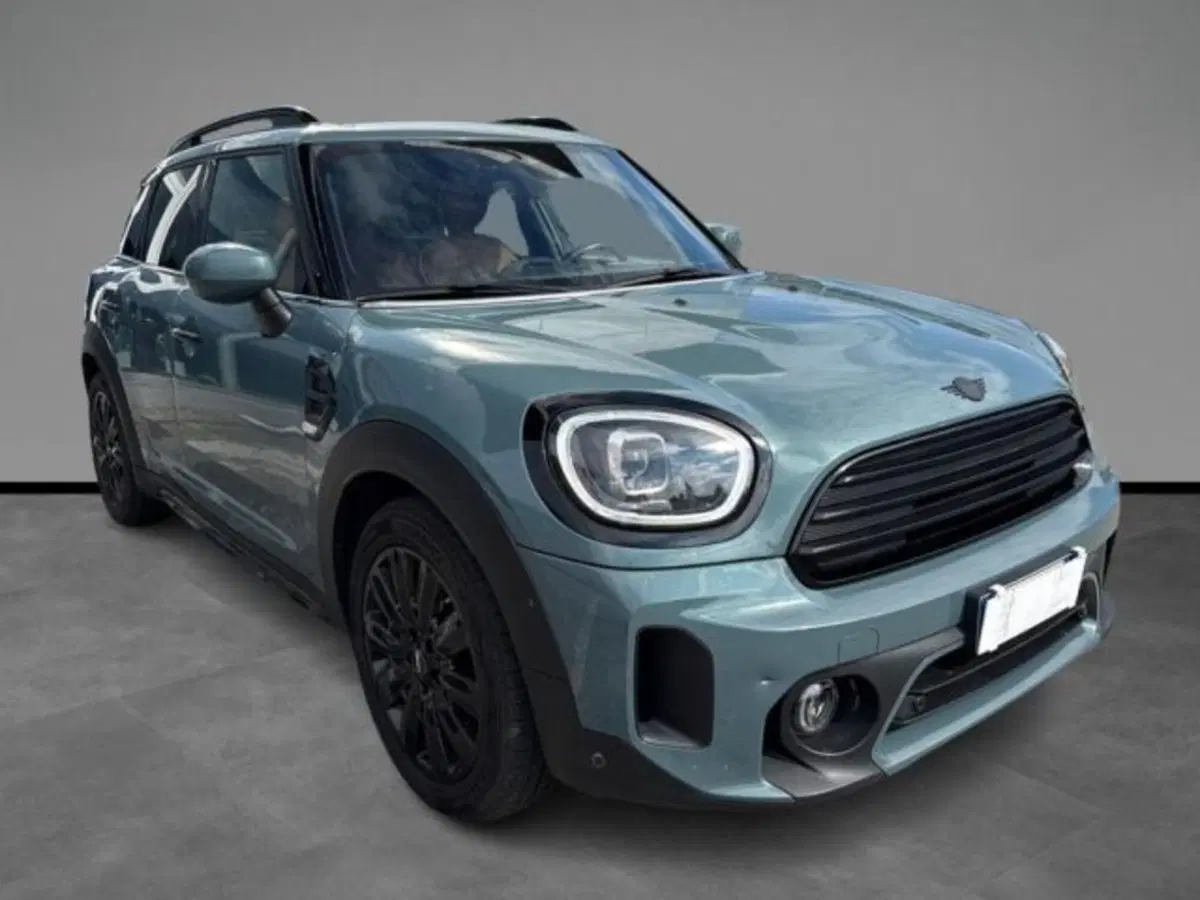 MINI Mini Countryman usata a Verona (14)