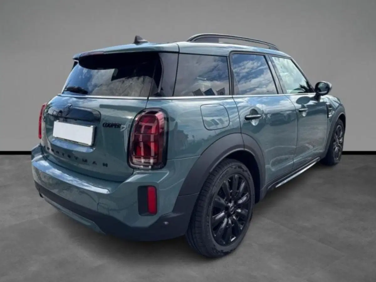 MINI Mini Countryman usata a Verona (15)