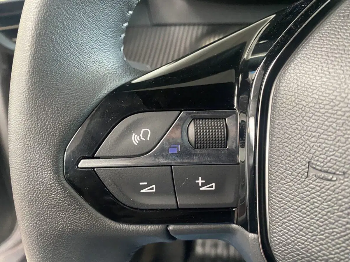 Peugeot 2008 usata a Torino (13)