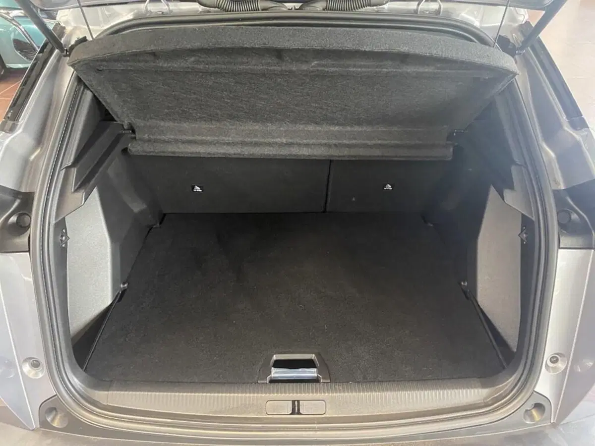 Peugeot 2008 usata a Torino (9)