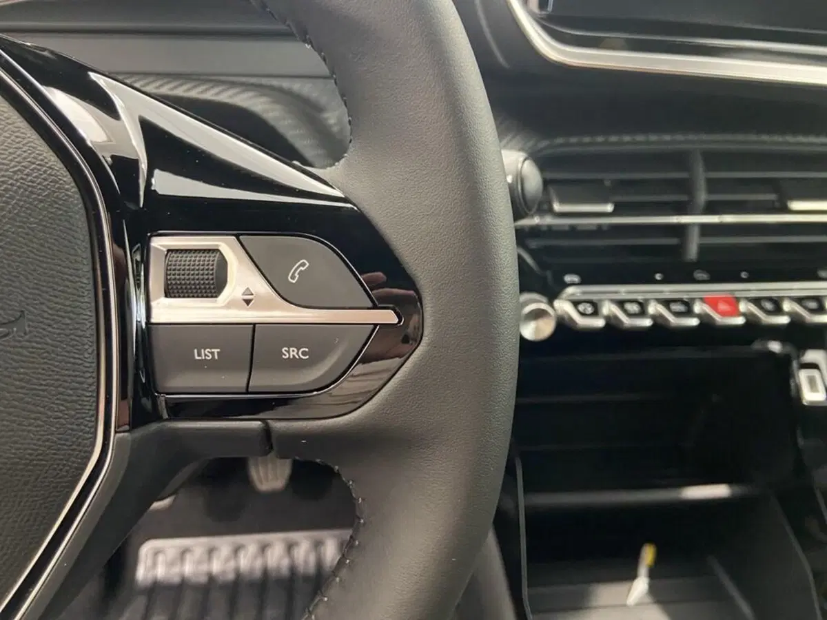 Peugeot 2008 nuova a Torino (14)