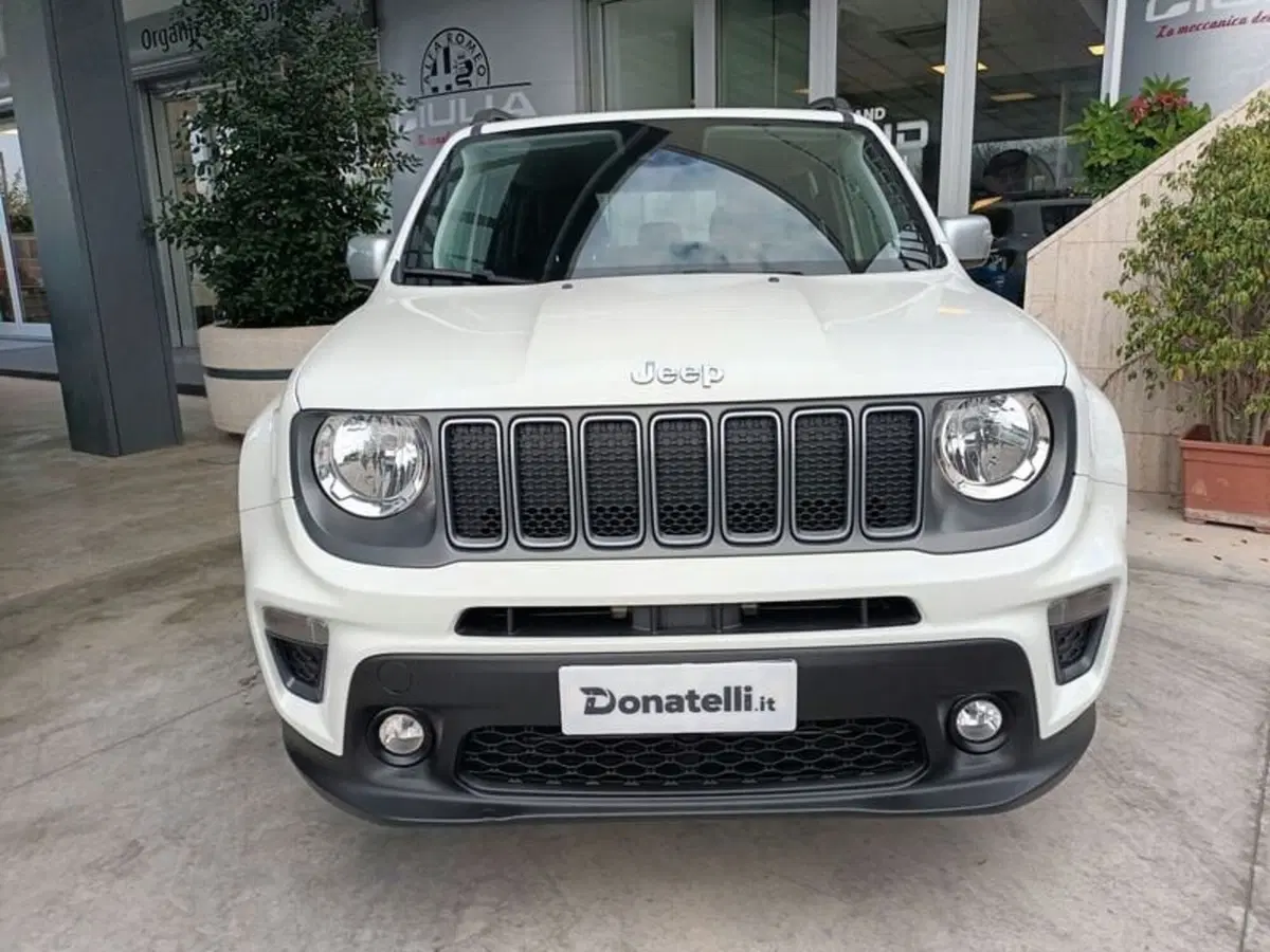 Jeep Renegade usata a Bari (9)