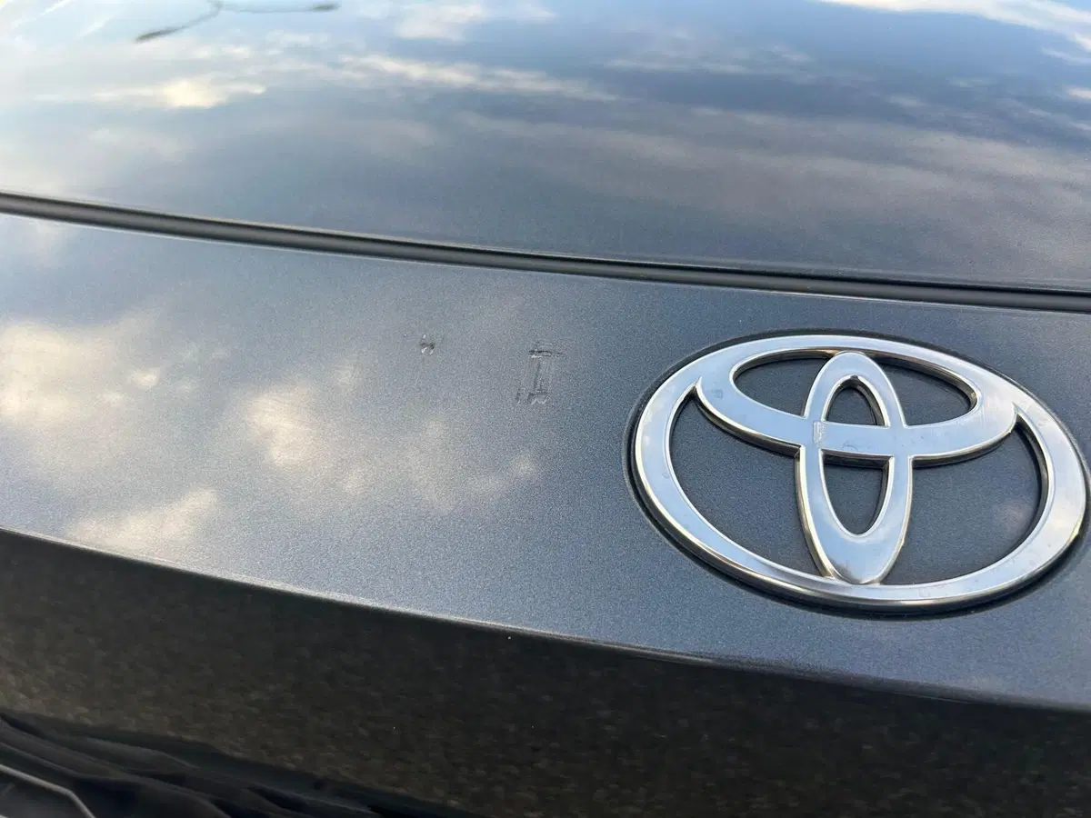 Toyota Toyota C-HR usata a Piacenza (12)