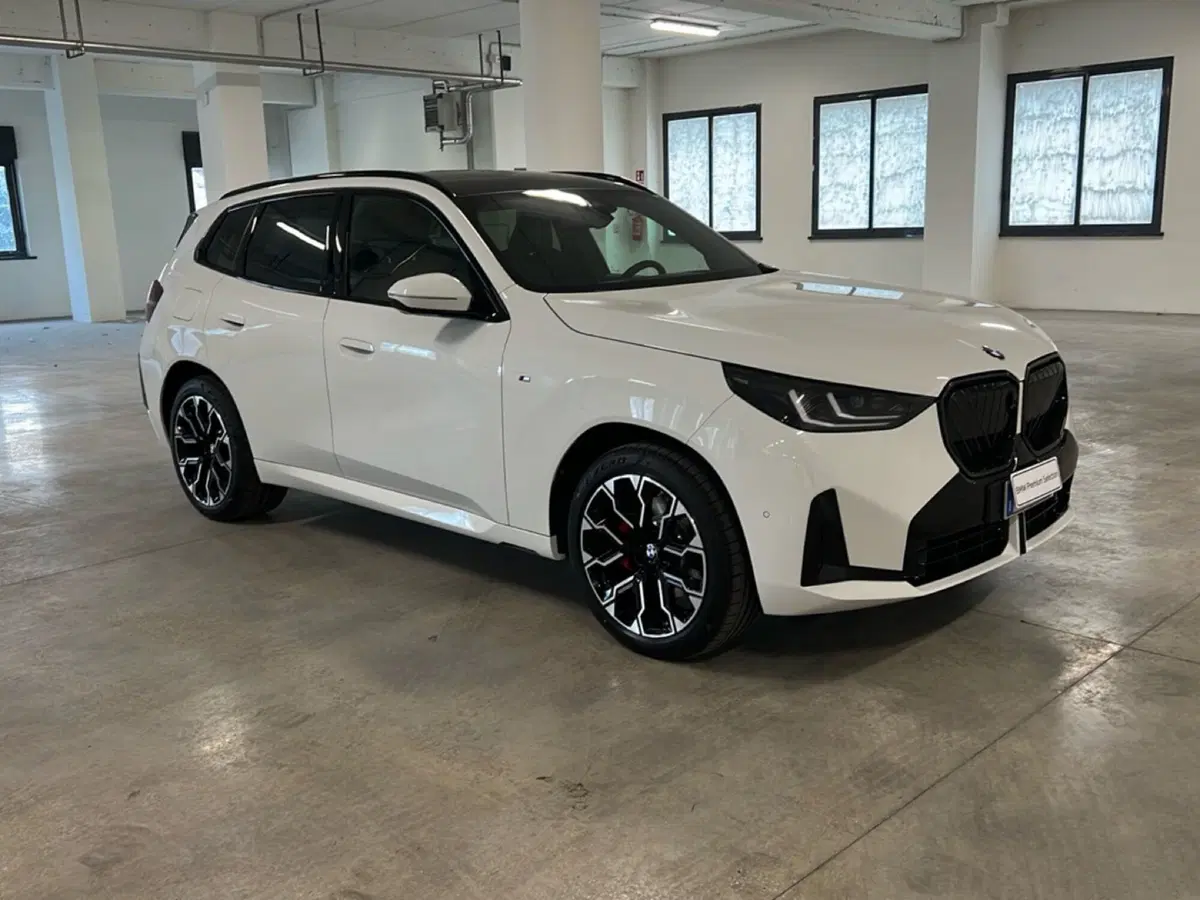 BMW X3 nuova a Torino (8)