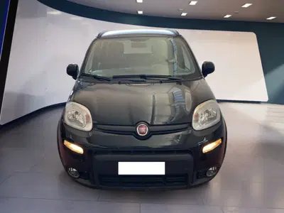 Fiat Panda 1.0 FireFly S&S Hybrid City Cross del 2023 usata a Torino