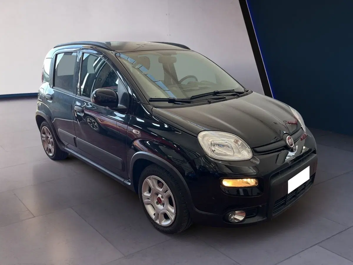 Fiat Panda usata a Torino (2)