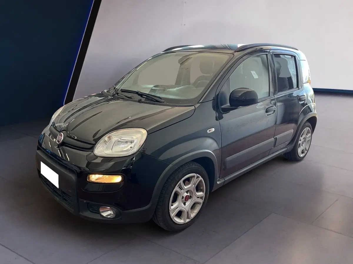 Fiat Panda usata a Torino (3)
