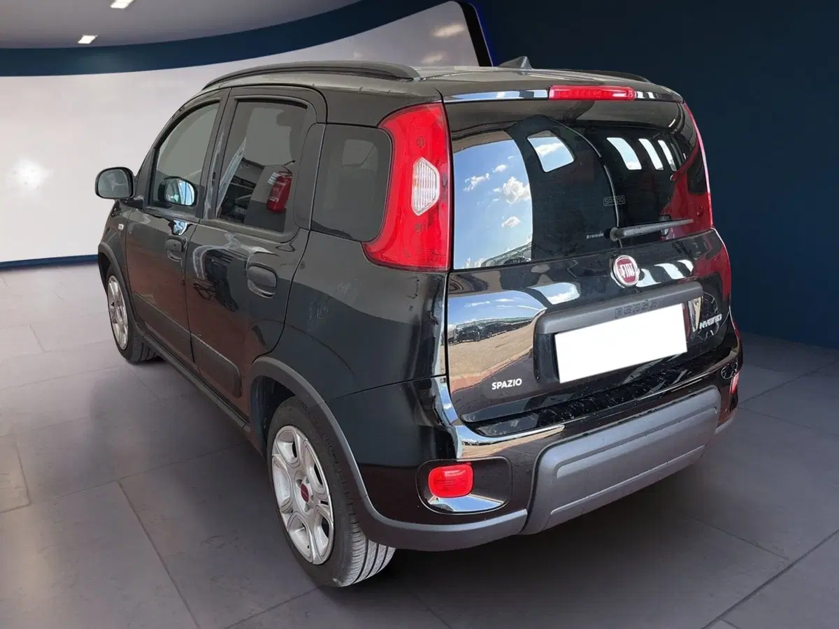 Fiat Panda usata a Torino (4)