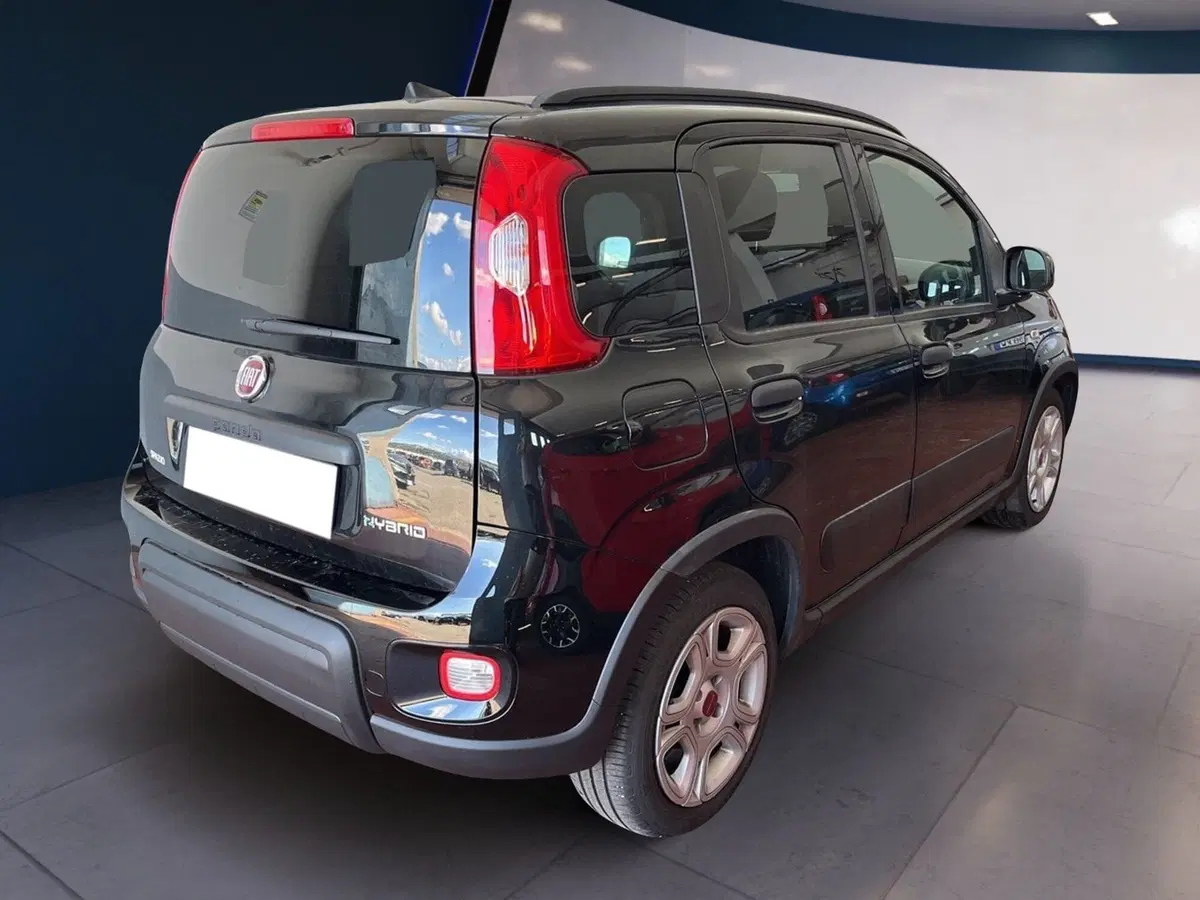 Fiat Panda usata a Torino (6)