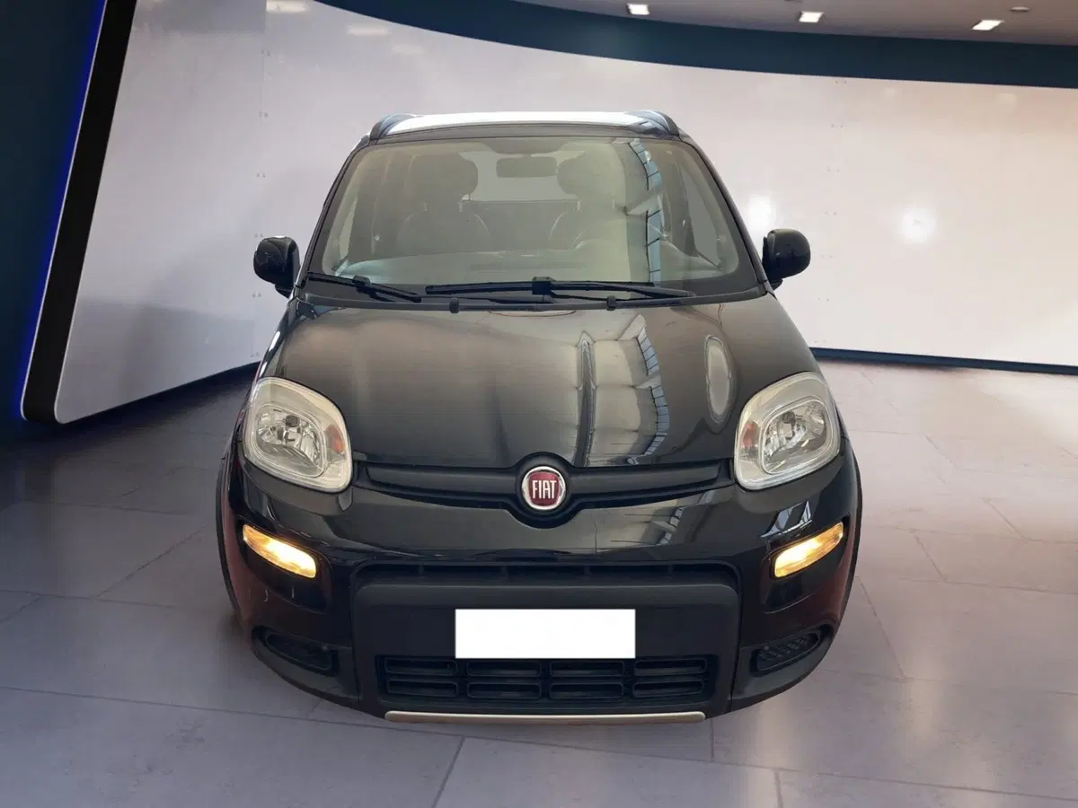 Fiat Panda usata a Torino