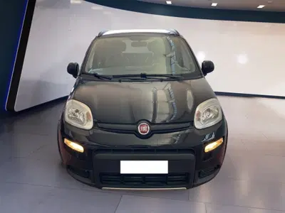 Fiat Panda 0.9 TwinAir Turbo S&S 4x4 Wild del 2020 usata a Torino