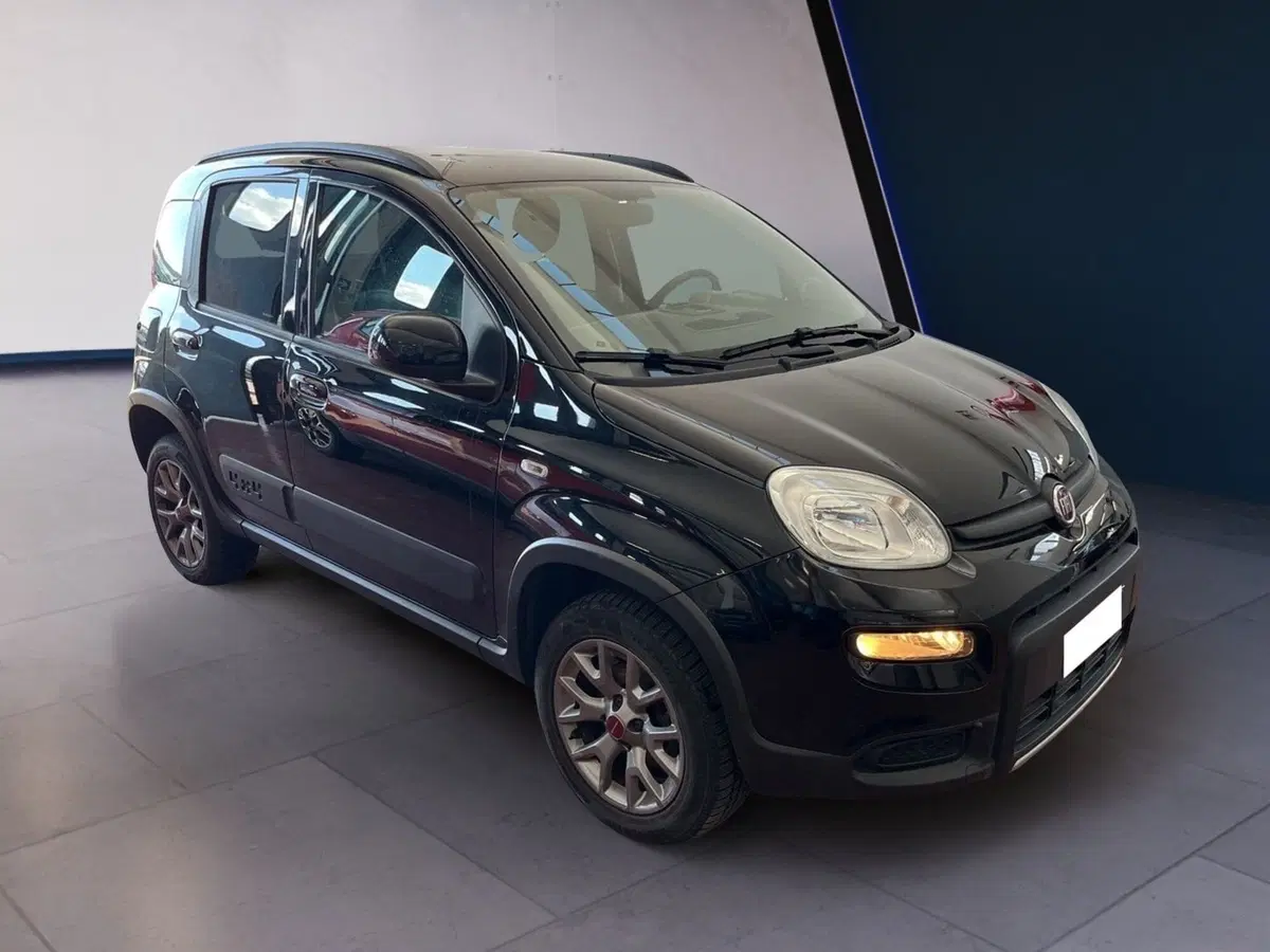 Fiat Panda usata a Torino (2)
