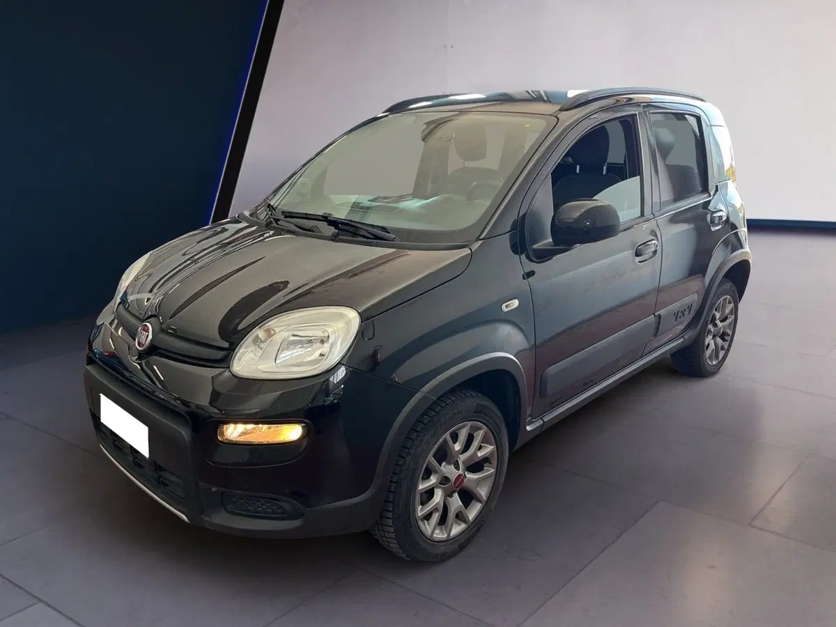 Fiat Panda usata a Torino (3)