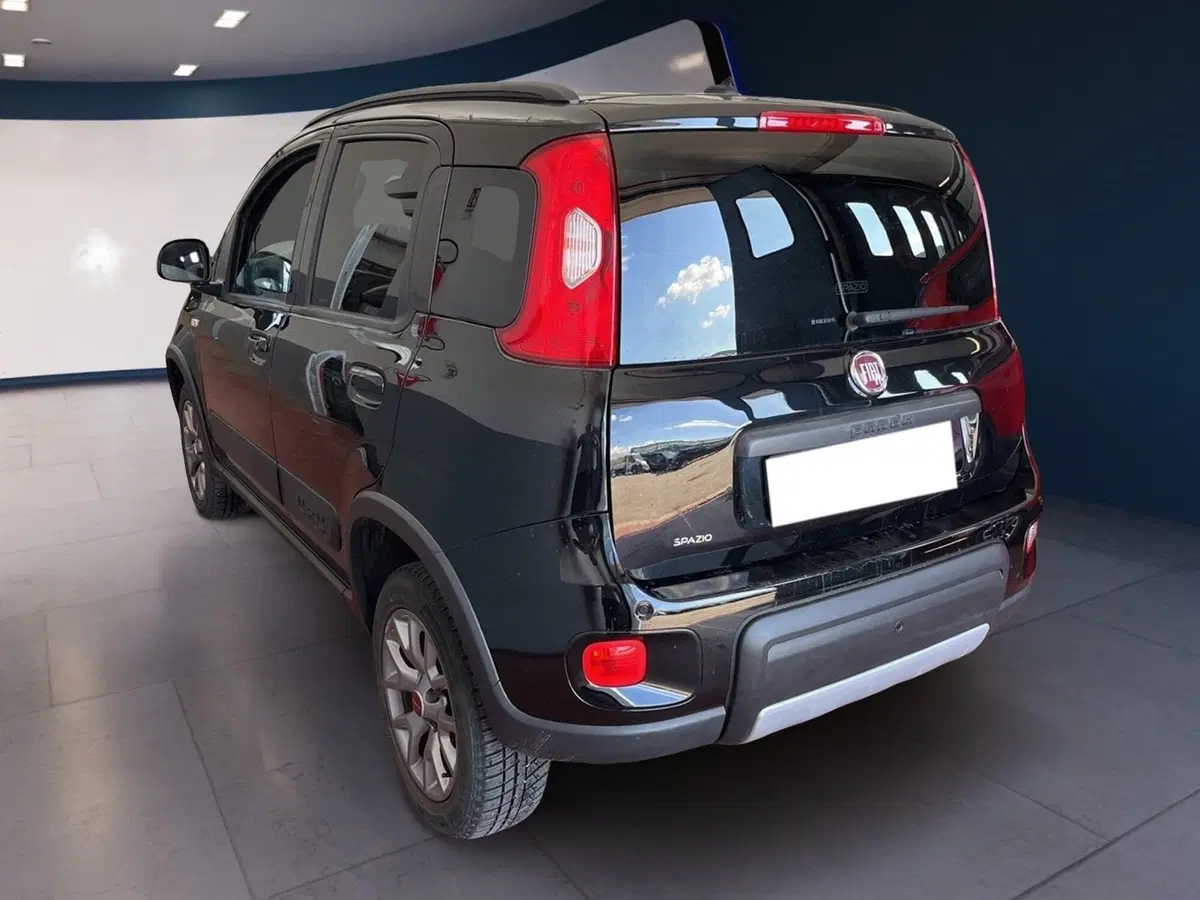 Fiat Panda usata a Torino (4)