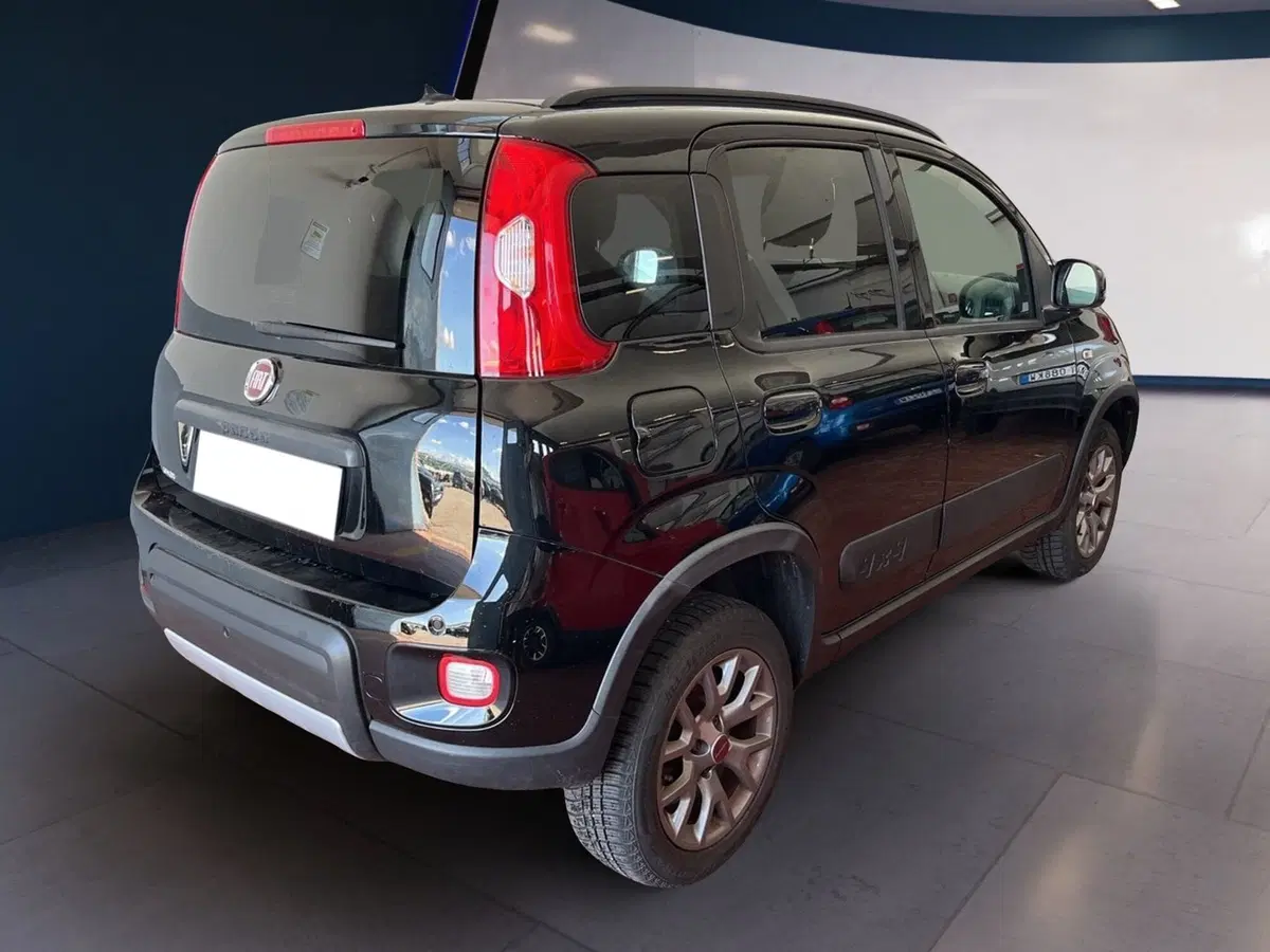 Fiat Panda usata a Torino (6)