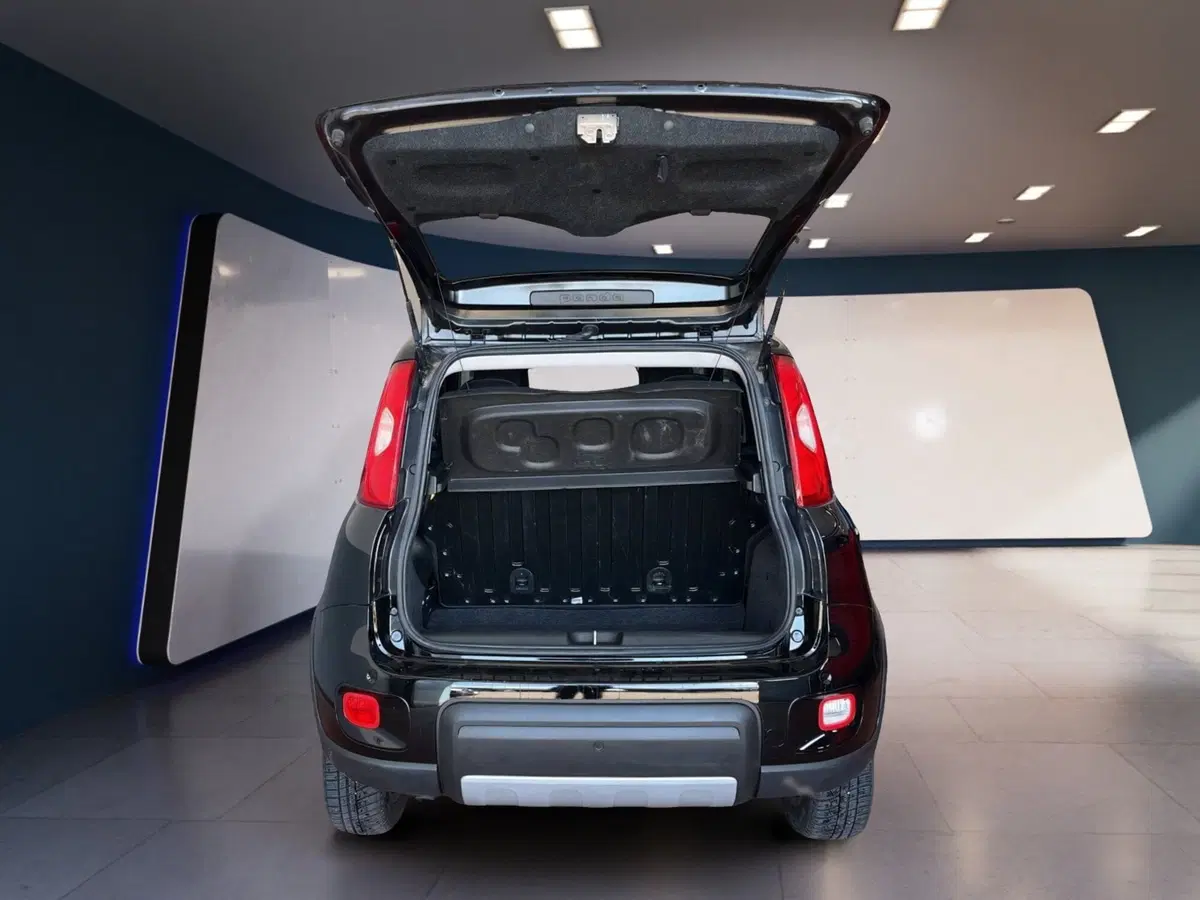 Fiat Panda usata a Torino (8)