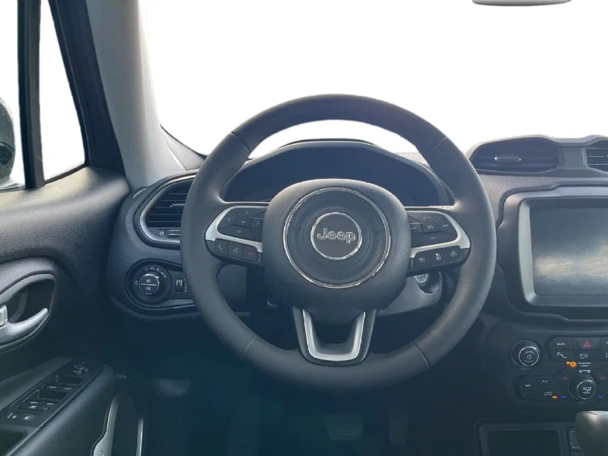 Jeep Renegade usata a Torino (11)