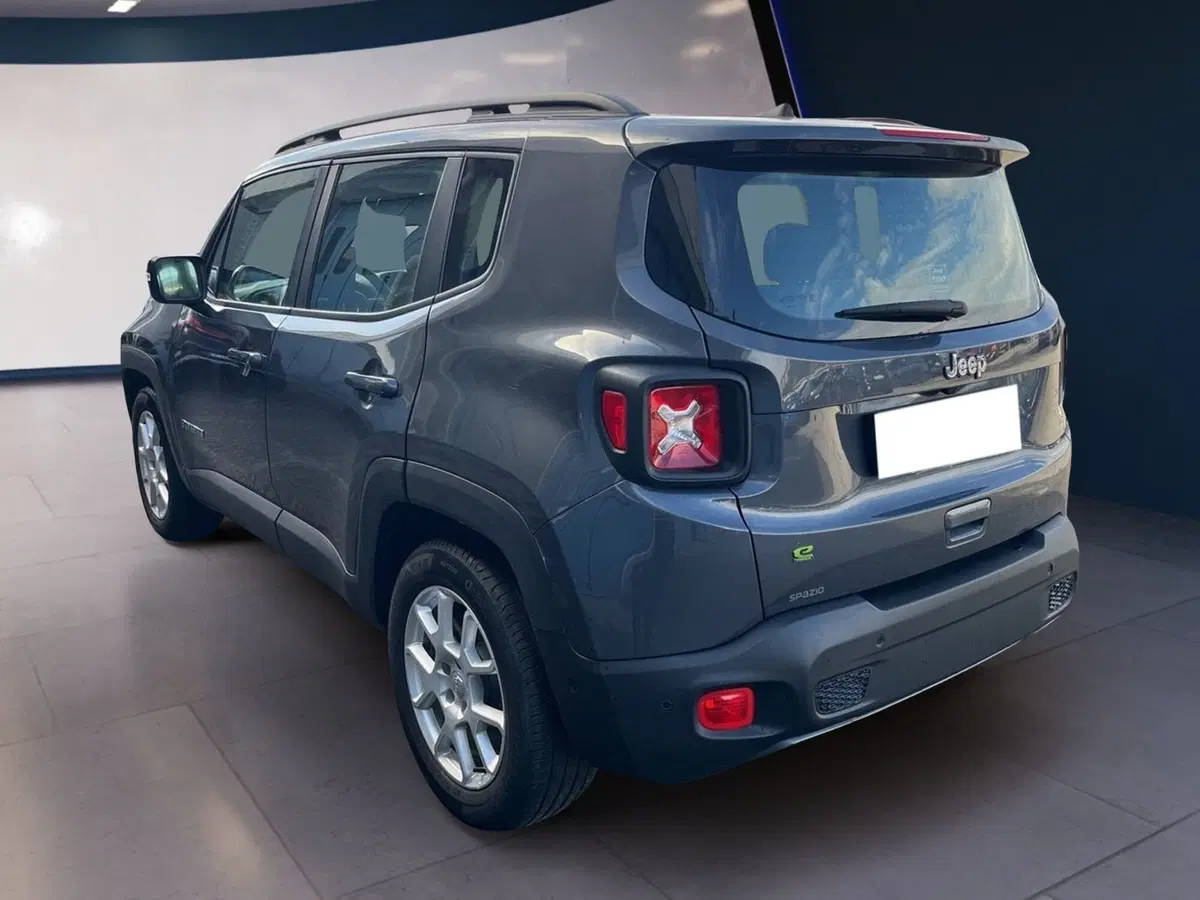Jeep Renegade usata a Torino (6)