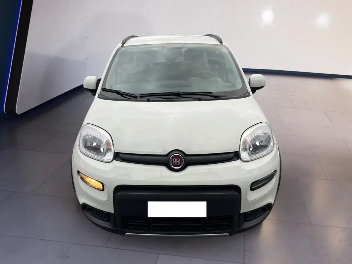 Fiat Panda usata a Torino