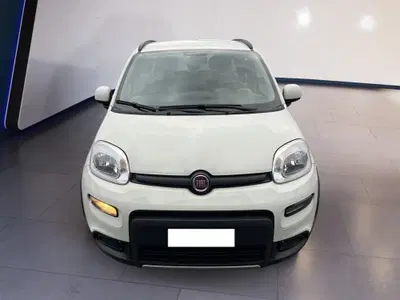 Fiat Panda 1.0 FireFly S&S Hybrid City Cross del 2022 usata a Torino