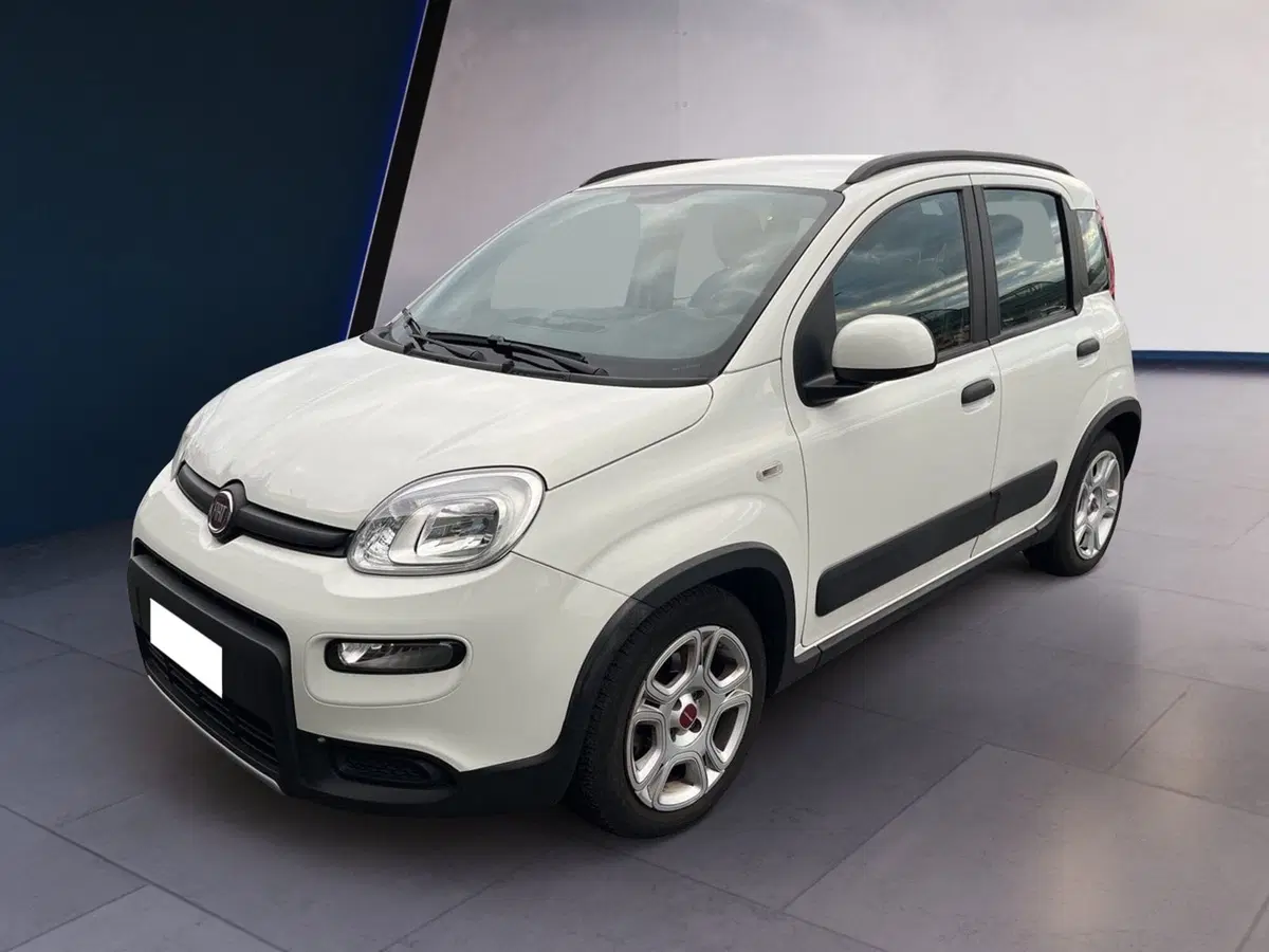 Fiat Panda usata a Torino (2)