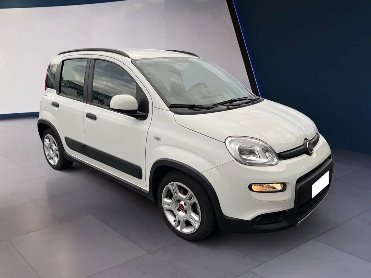 Fiat Panda usata a Torino (3)