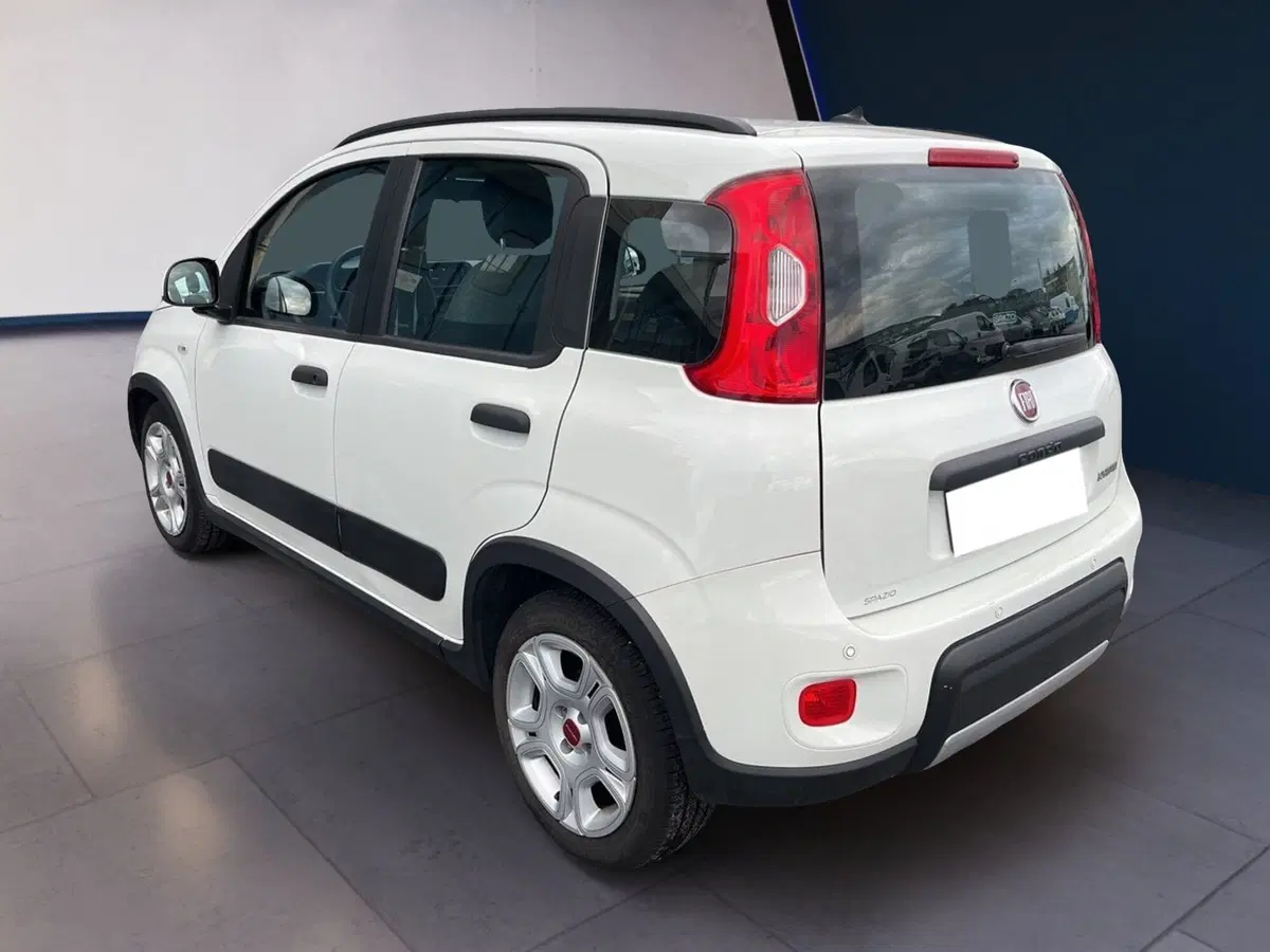 Fiat Panda usata a Torino (6)