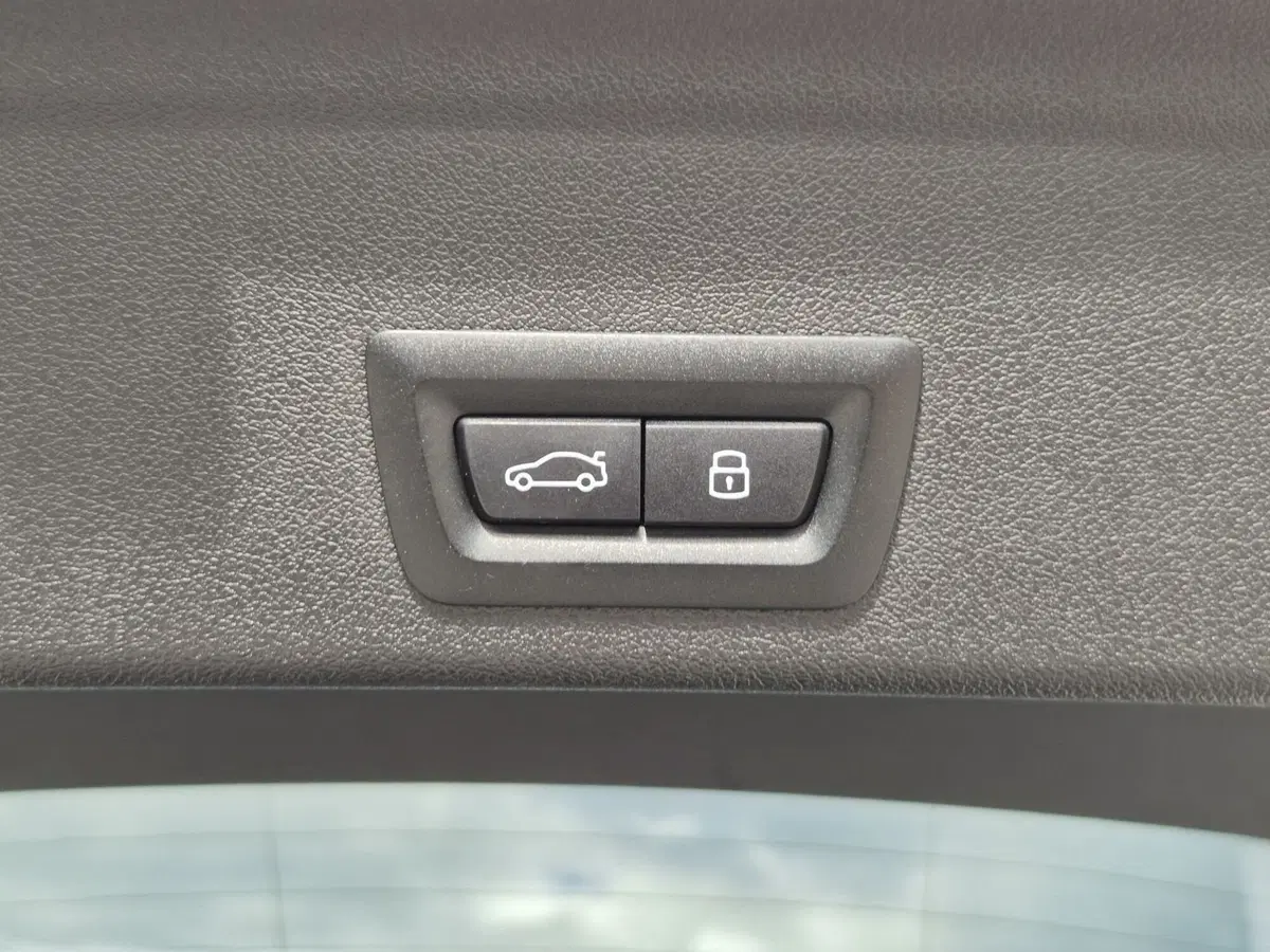 BMW X6 usata  (17)
