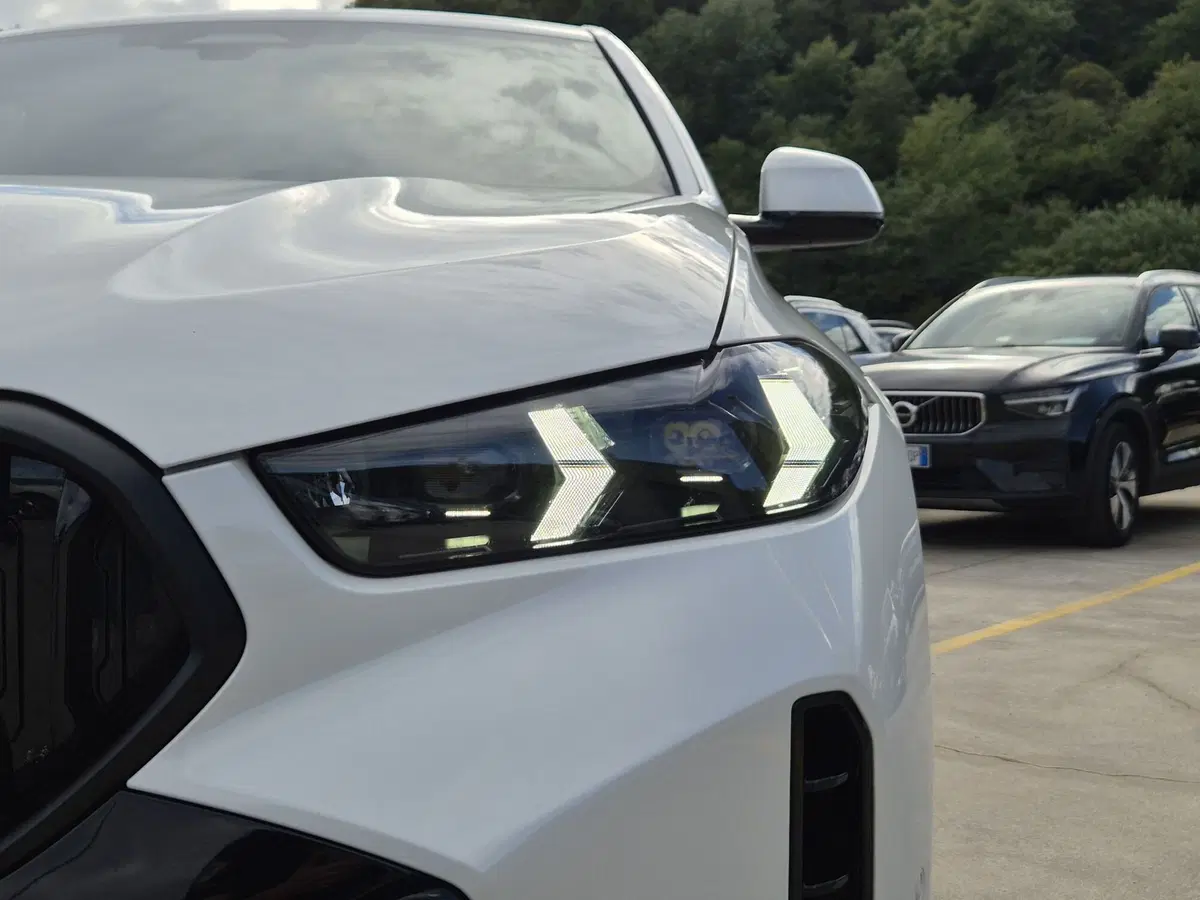 BMW X6 usata  (18)