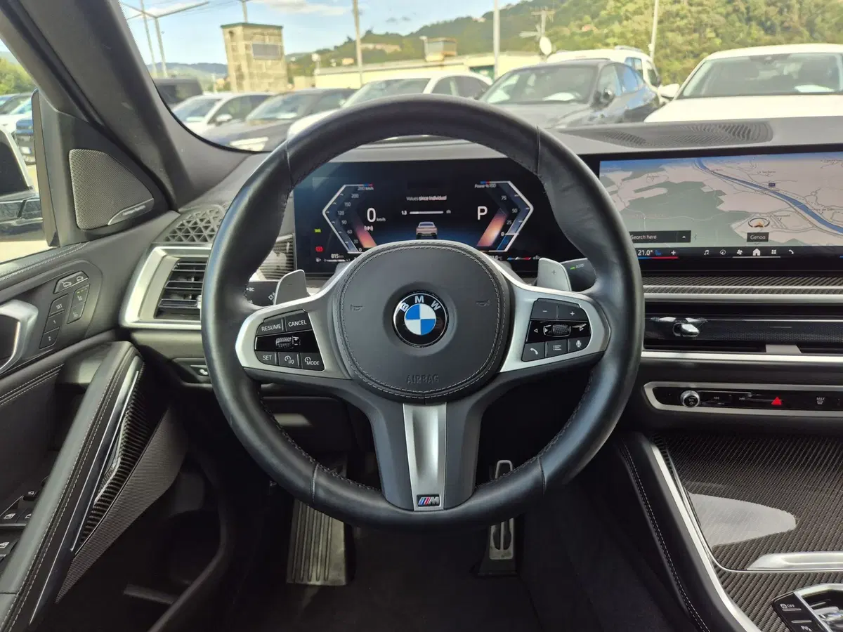 BMW X6 usata  (19)
