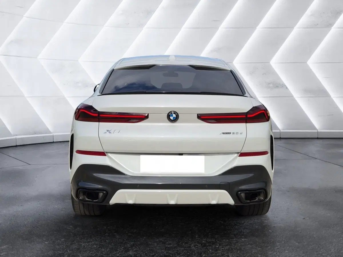 BMW X6 usata  (3)