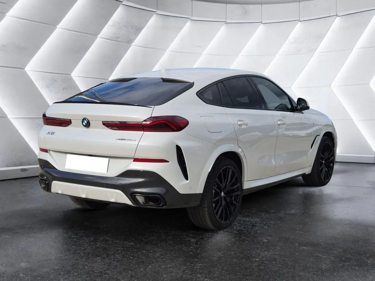 BMW X6 usata  (4)