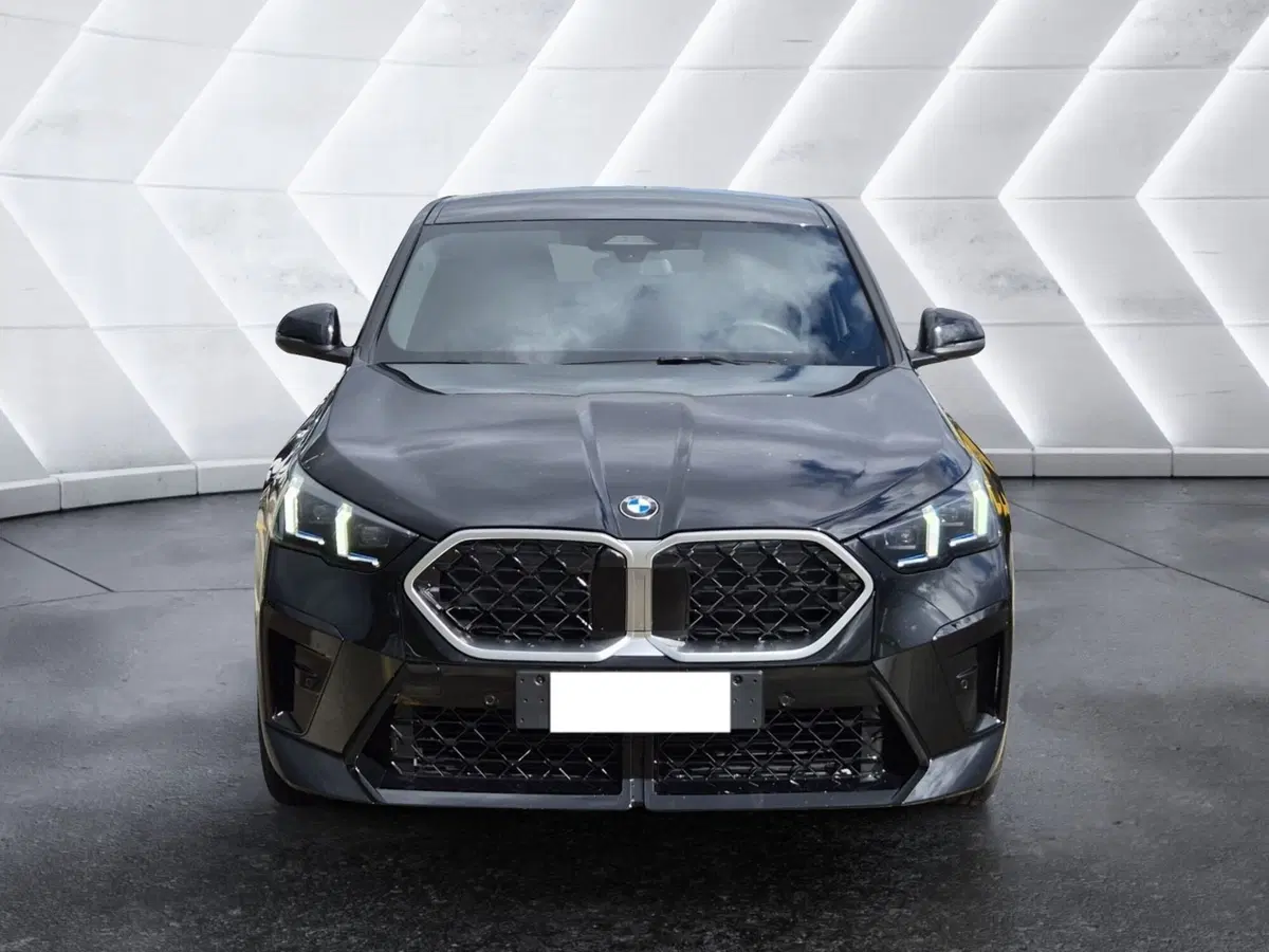 BMW X2 usata  (2)