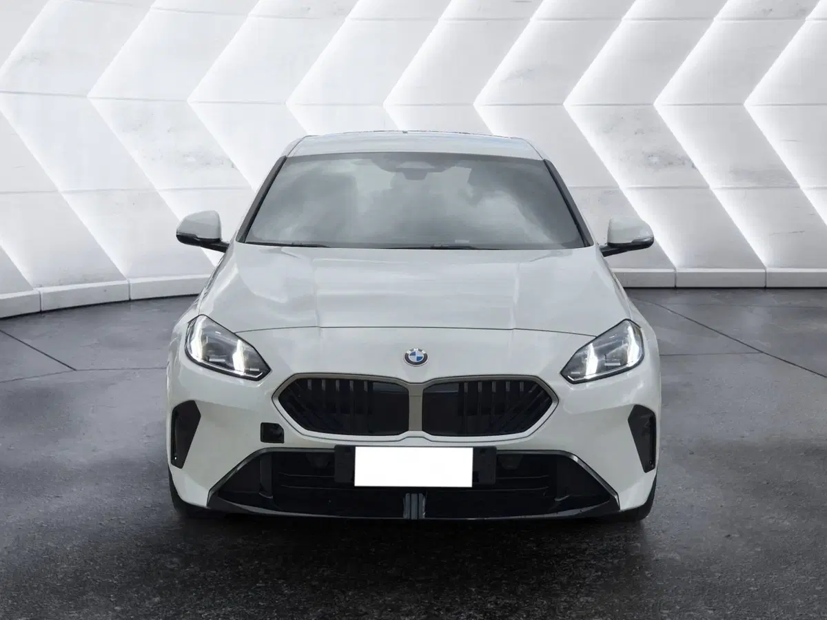 BMW Serie 1 usata  (2)
