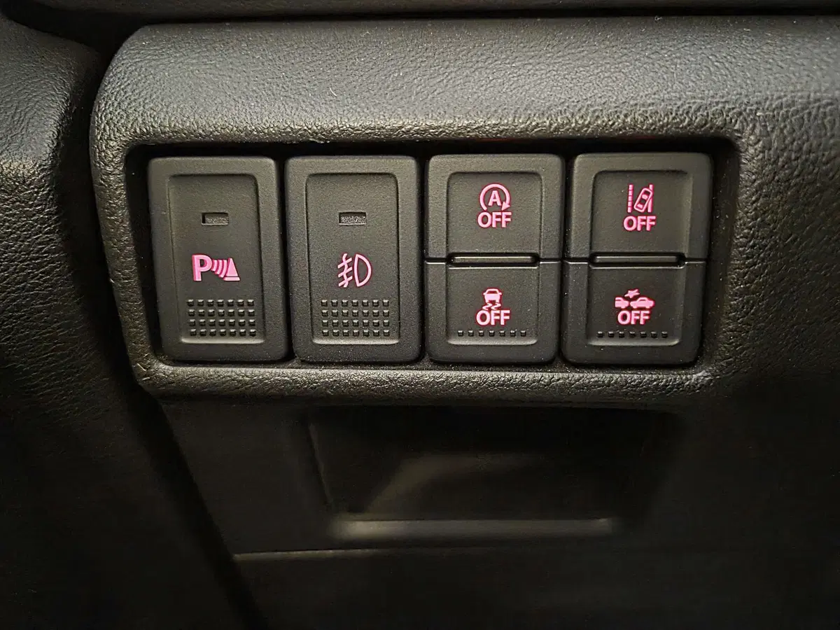 Suzuki S-Cross usata a Pavia (15)