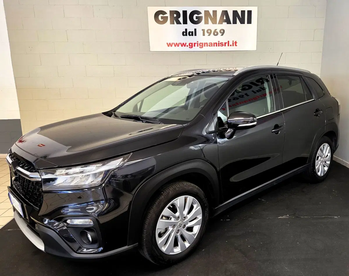 Suzuki S-Cross usata a Pavia (16)