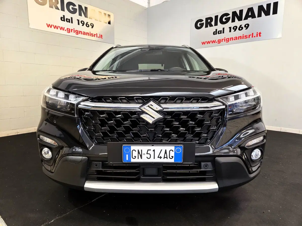 Suzuki S-Cross usata a Pavia (2)