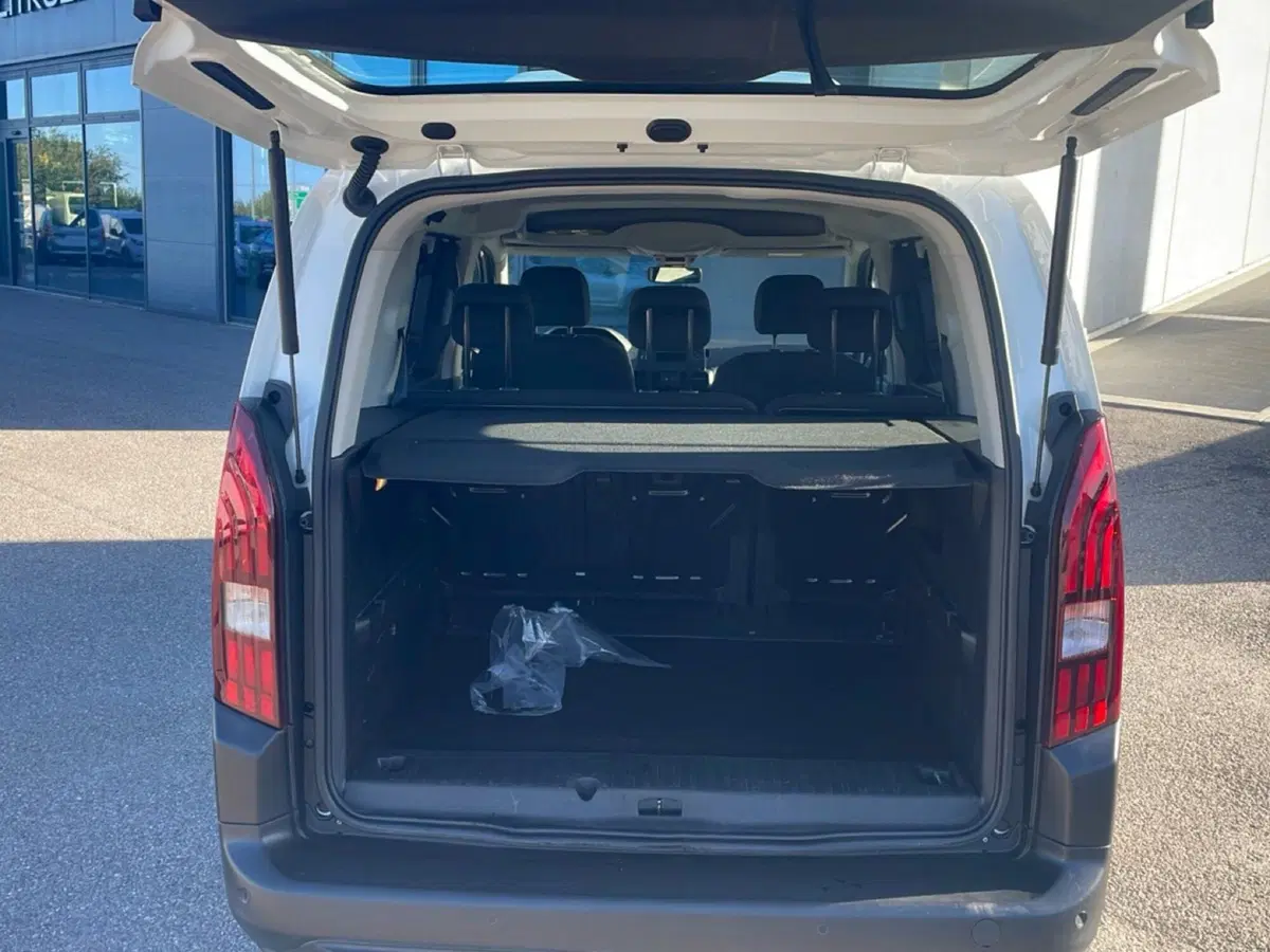 Peugeot Rifter usata a Ravenna (16)
