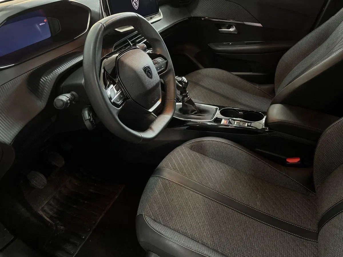 Peugeot 208 usata a Bari (10)