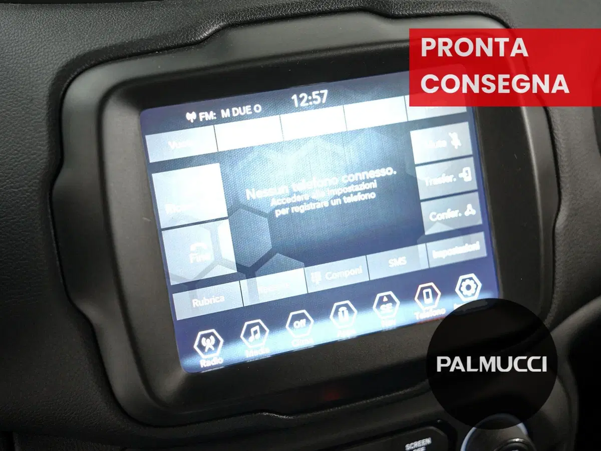 Jeep Renegade usata a Prato (11)