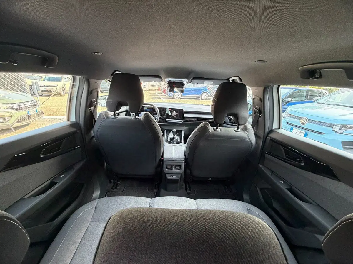 Renault Austral usata a Pavia (11)