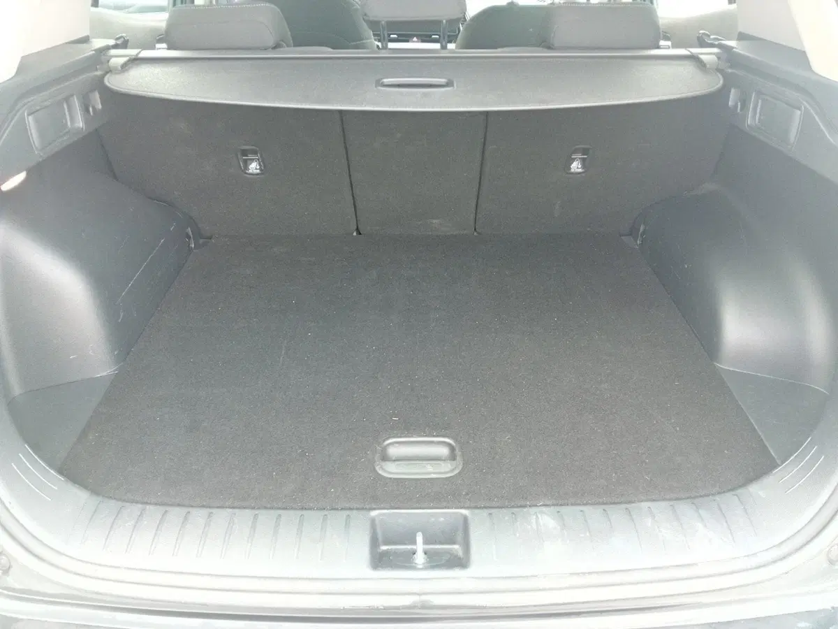 Kia Sportage usata a Pordenone (10)