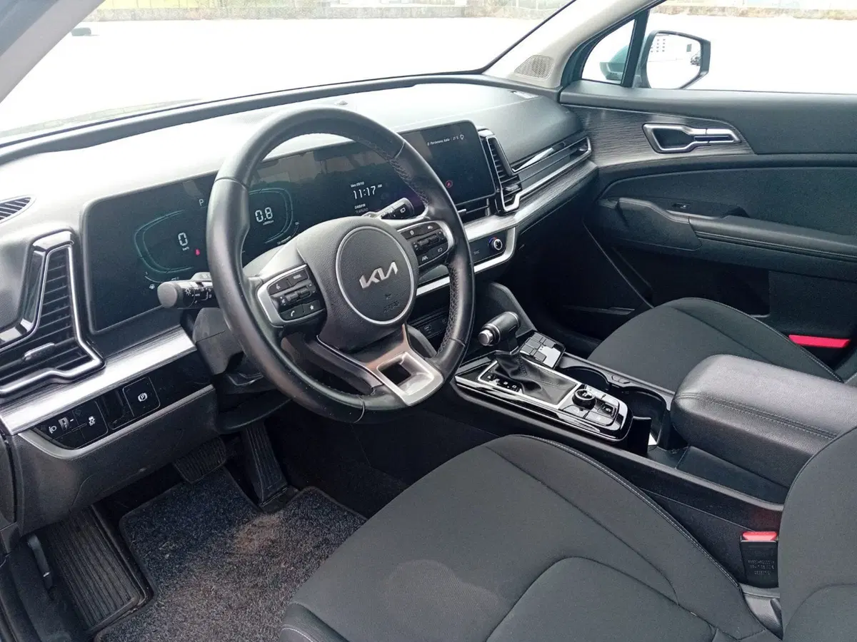 Kia Sportage usata a Pordenone (11)