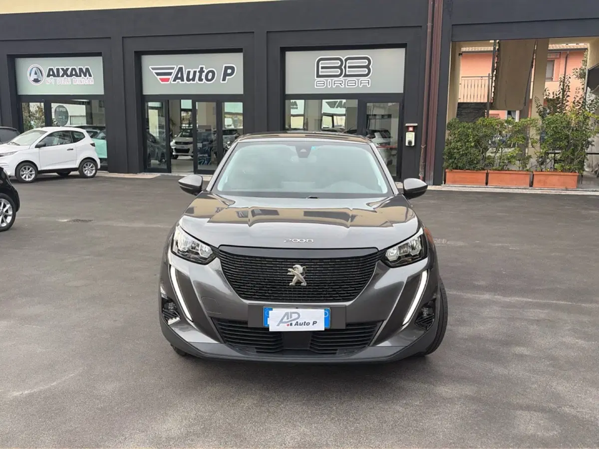 Peugeot 2008 usata a Lucca (8)