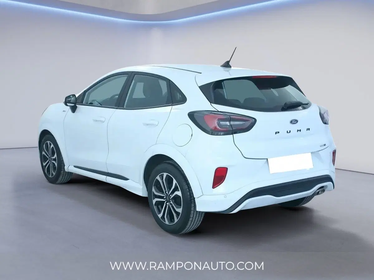 Ford Puma usata a Venezia (4)