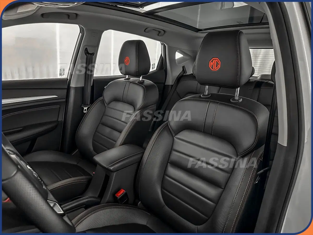 Mg ZS usata a Milano (8)