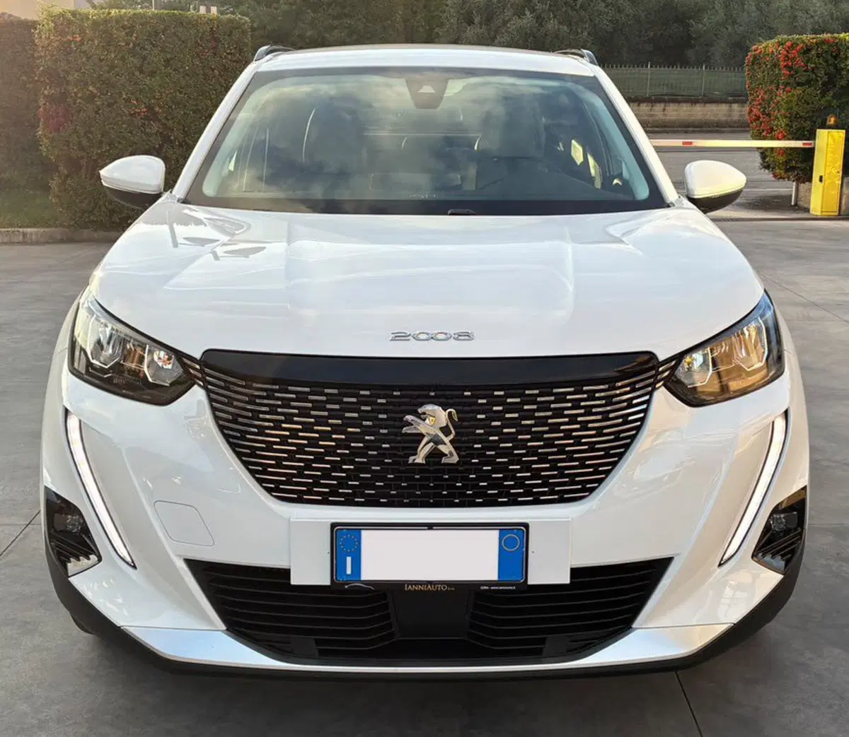 Peugeot 2008 usata a Frosinone