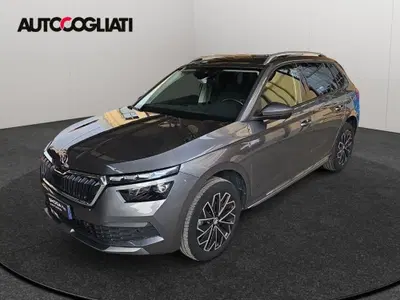 Skoda Kamiq 1.0 TSI 110 CV DSG Style del 2023 usata a Merate